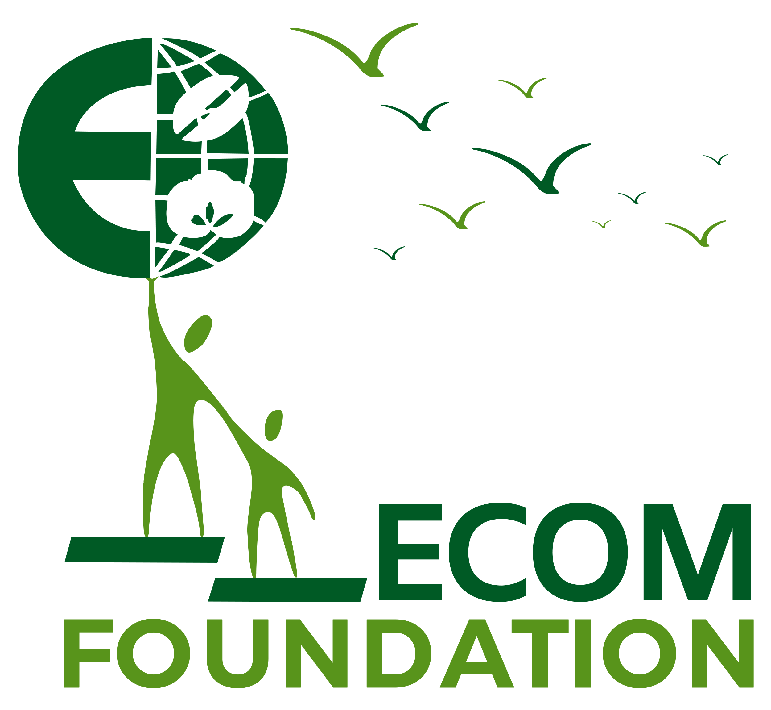 ecom foundation